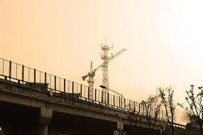 �ƻ��µ�����