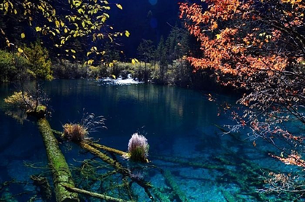 ��ȸ������