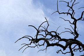 ���͹���