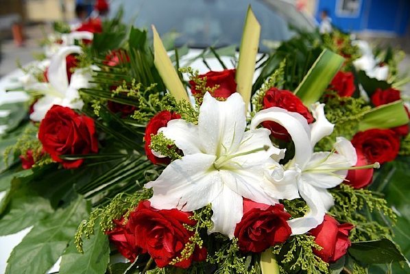 �ٺ�õ�廨��