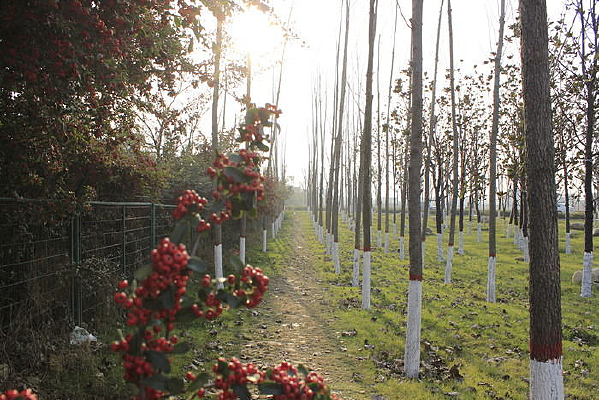 �����ֹ�ʵ