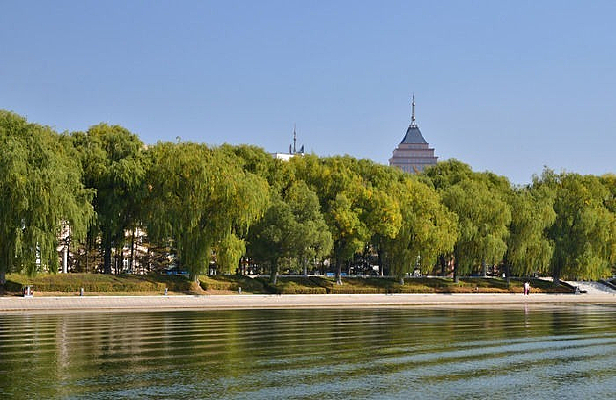 ֦��Ҷï����ľ