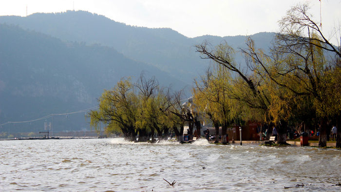 ��������