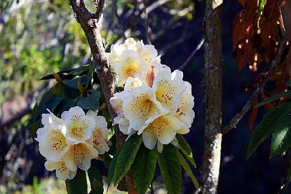 ����֮��