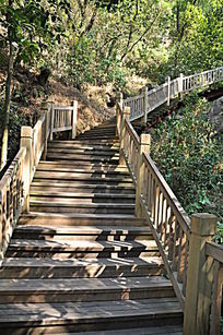 福州熊猫国际空中栈道露脸-新华网