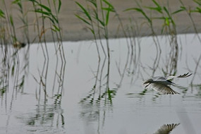 έ���е���