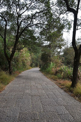 ����ʯ��·