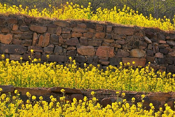 �����������Ͳ˻�