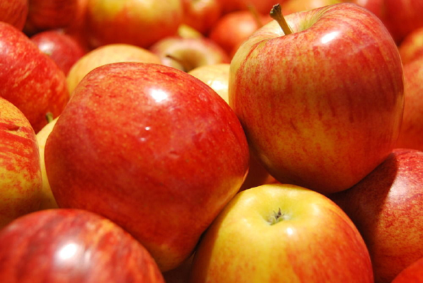 ƻ������