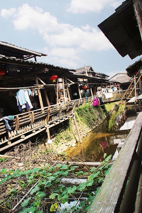 ��ɹ����