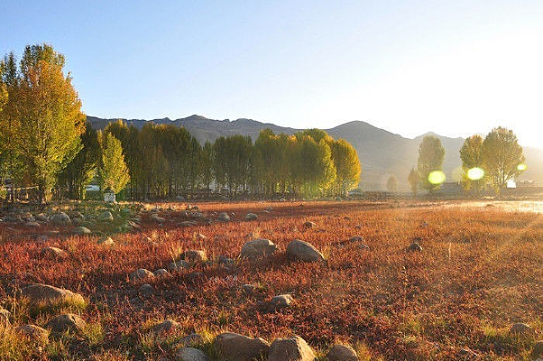 �����Ƕ�������ɽ