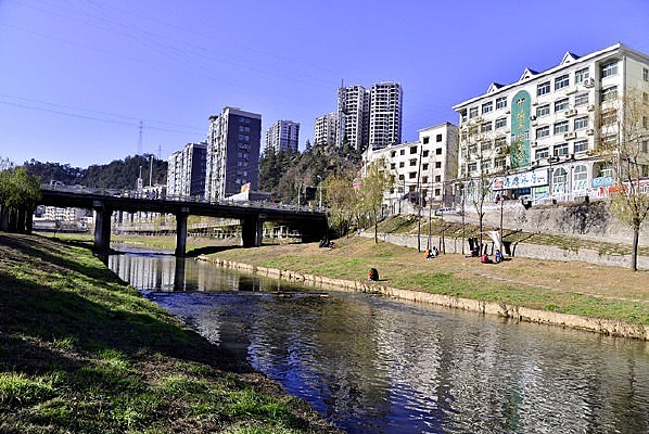 ������ƺ����