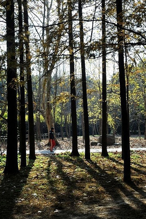 ���ж���