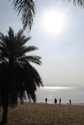 �����µ�ɳ̲