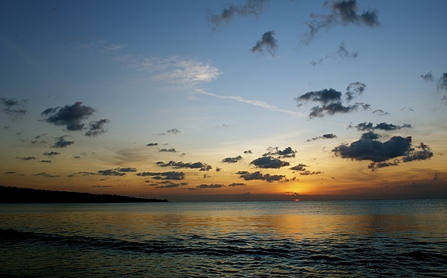 ���嵺�ճ�