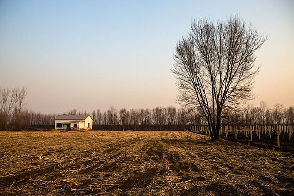 �������Ұ