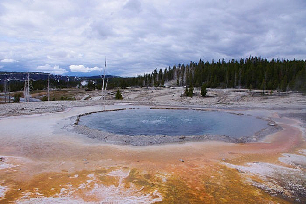 ��ʯ����ɭ�ֹ�԰