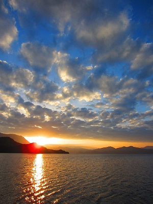 ��ɫ�����