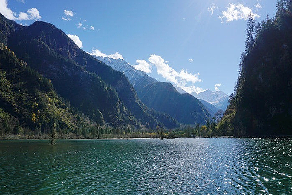 ����ɭ�ֹ�԰