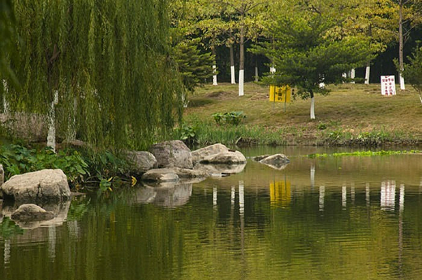 �����ĺ���