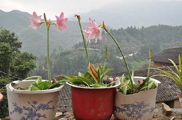 ����С���ٺ�