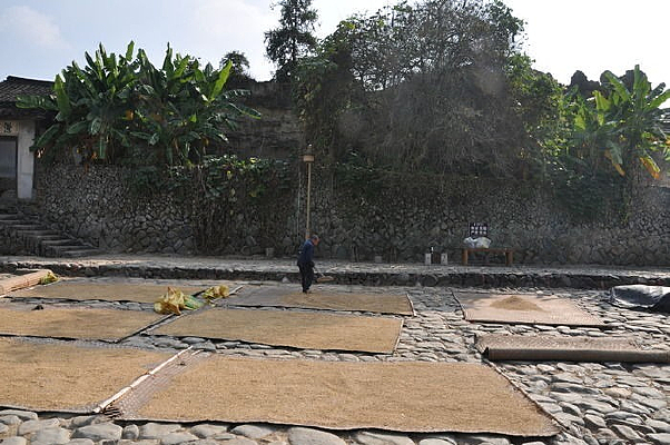 ������ʳ