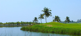 �߶����̵�