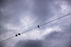 �����ϵ�С��