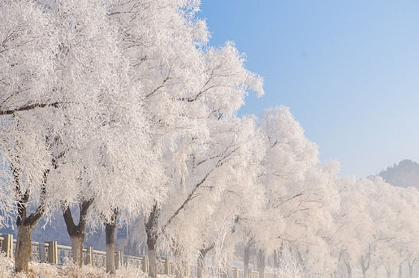 ������ڡ