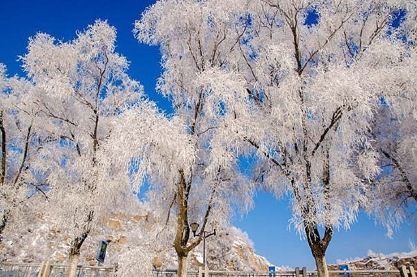 ������ڡ