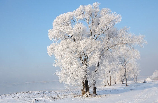 ������ڡ