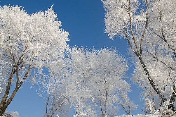 ������ڡ