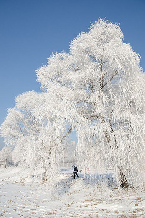 ��ڡ����