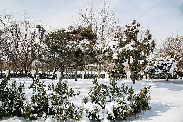 ѩ�������