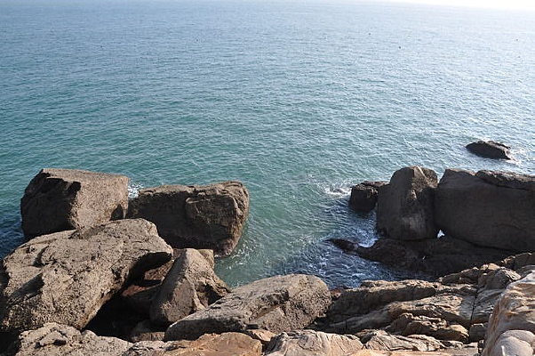 ���޵����