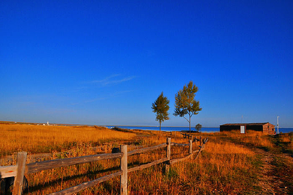 Χ������