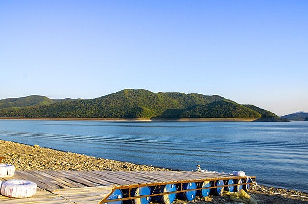 �Ǻ������