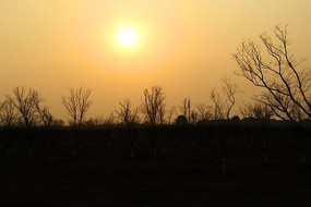 �����Ĵ���