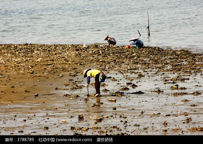 ��Ʒ����ͼƬ