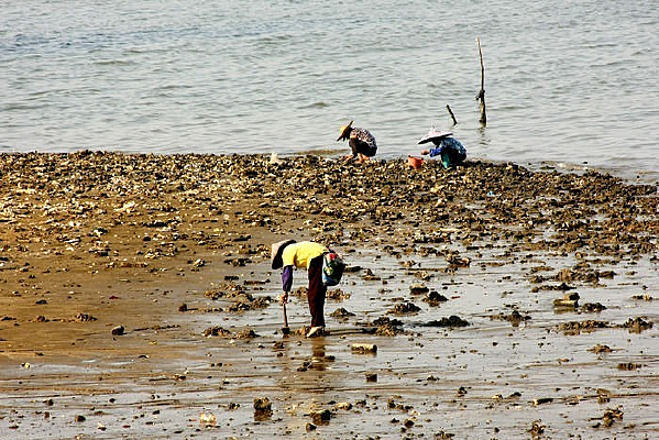 ��Ʒ����