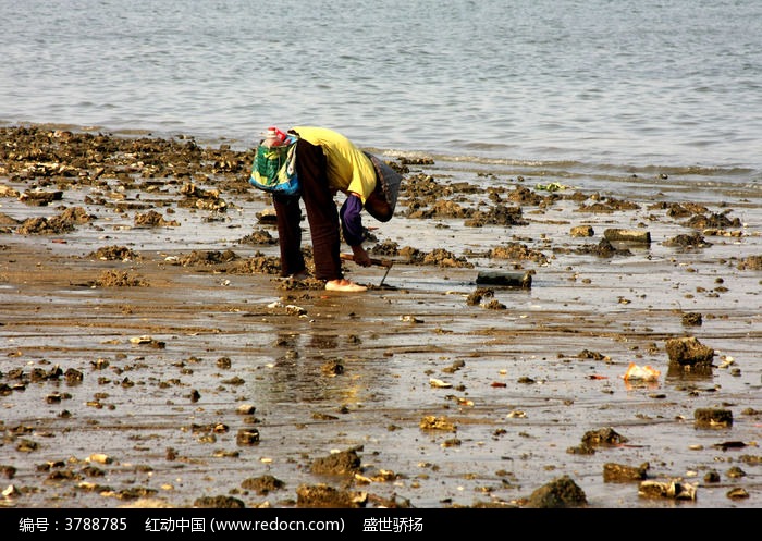 ��������ͼƬ