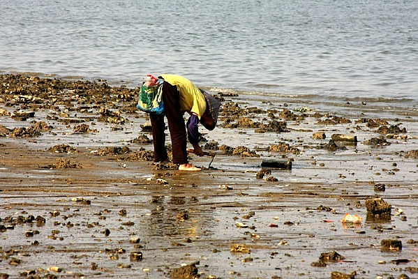 ��������