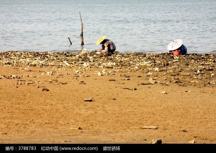 ��������ͼƬ