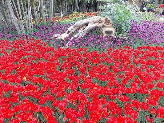 ��԰С·��ܰ