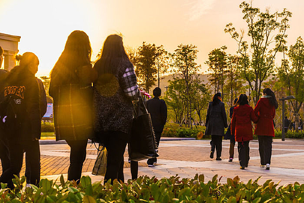 ��ɫ�껪������