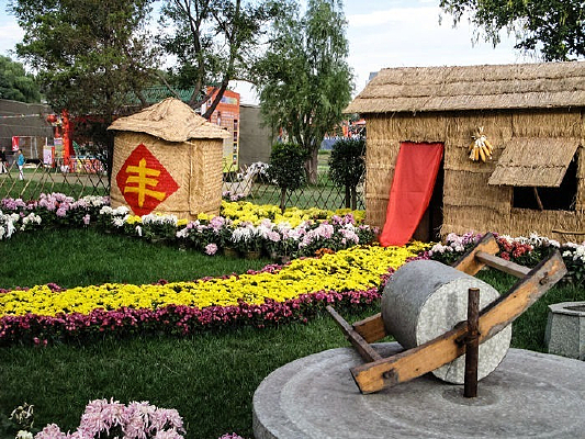 Ũ������