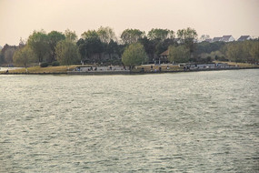 �����崹����