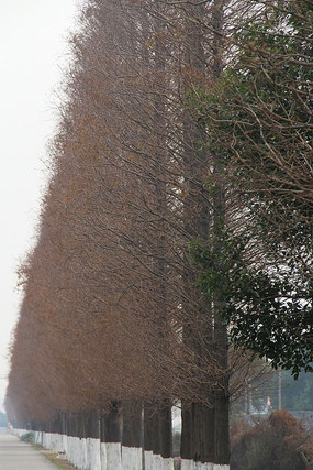 �������·