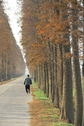 �Ǽ�į���ǰ�����·��