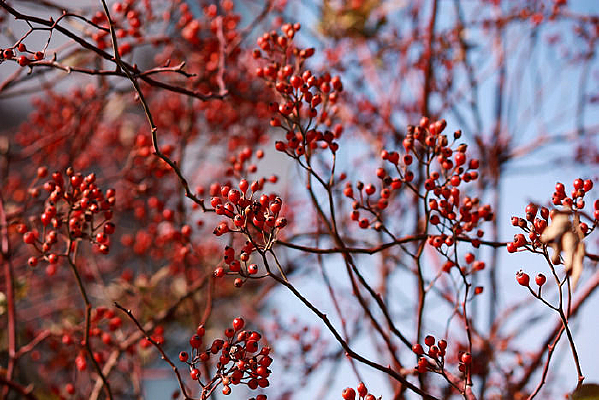 �����Ǿޱ��